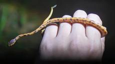 探索多姿多彩的&ldquo;生物寶庫(kù)&rdquo;