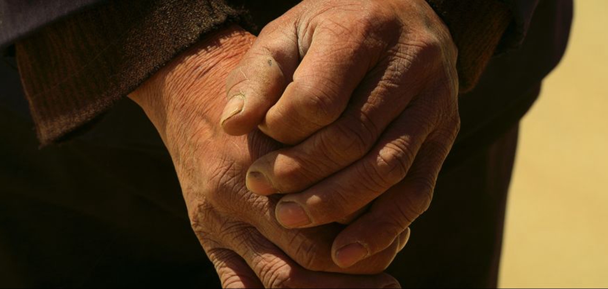 正式發(fā)布！《攜手，為人民》中國共產(chǎn)黨與世界政黨領(lǐng)導人峰會暖場片