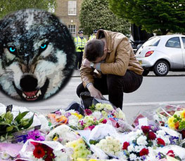 血案頻發(fā) "獨(dú)狼"緣何兇猛？