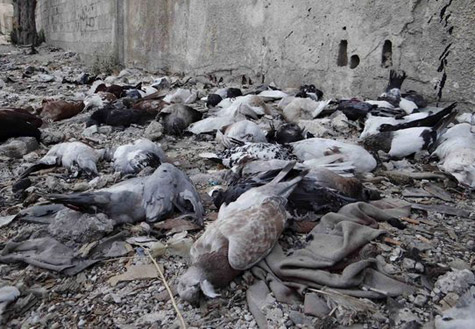 西方擂響對敘動武戰(zhàn)鼓 美媒披露具體攻擊時(shí)間