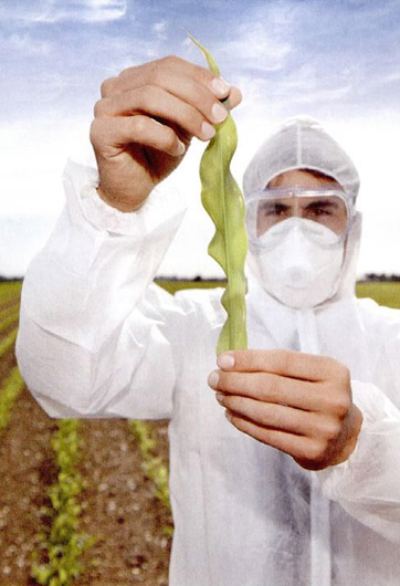 轉(zhuǎn)基因&ldquo;轉(zhuǎn)&rdquo;的是什么？