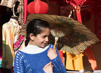 埃及舉辦第四屆&ldquo;法老村&rdquo;國際文化節(jié)