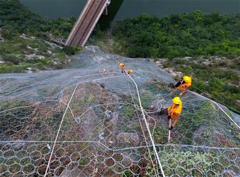 懸崖上的巖石&ldquo;外科醫(yī)生&rdquo;